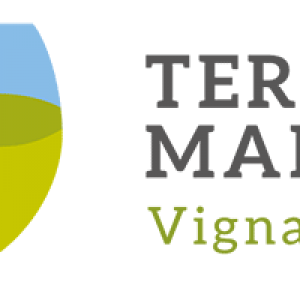 logo-terroir-big