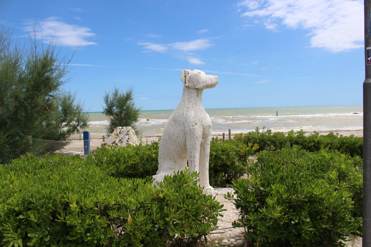 Grottammare spiaggia