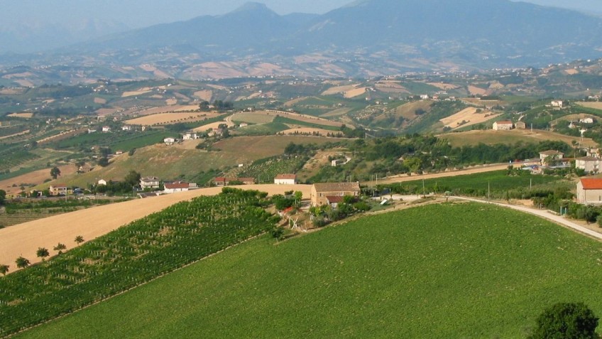 Vista della campagna marchigiana da Offida