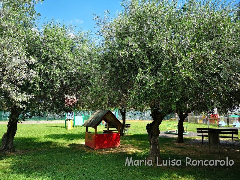 Parco Wojtyla Viale De Gasperi San Benedetto del Tronto