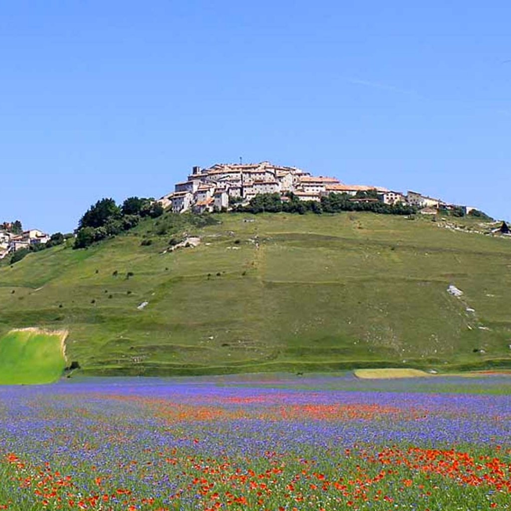 Castelluccio