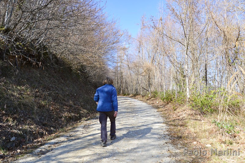 Cammino francescano della Marca - sentiero