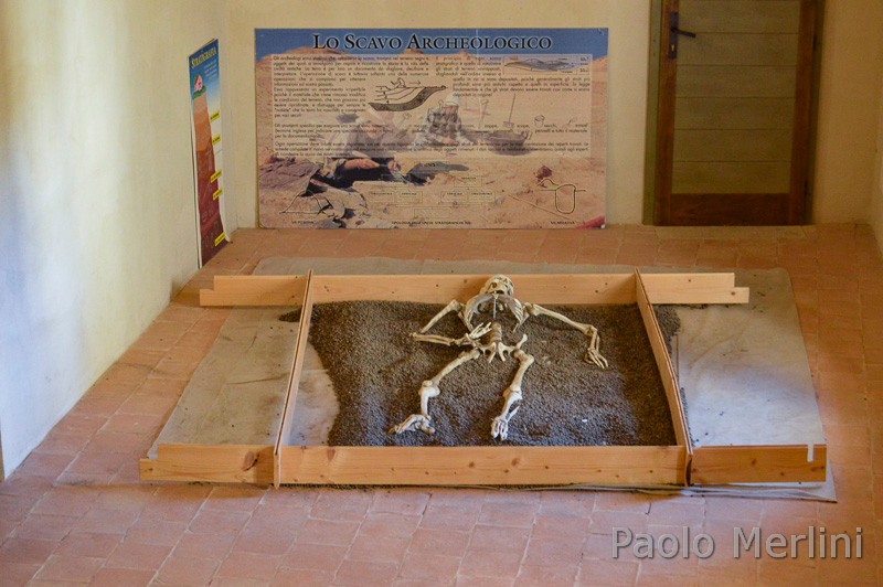 Museo dell'Alto Medioevo - scavi archeologici
