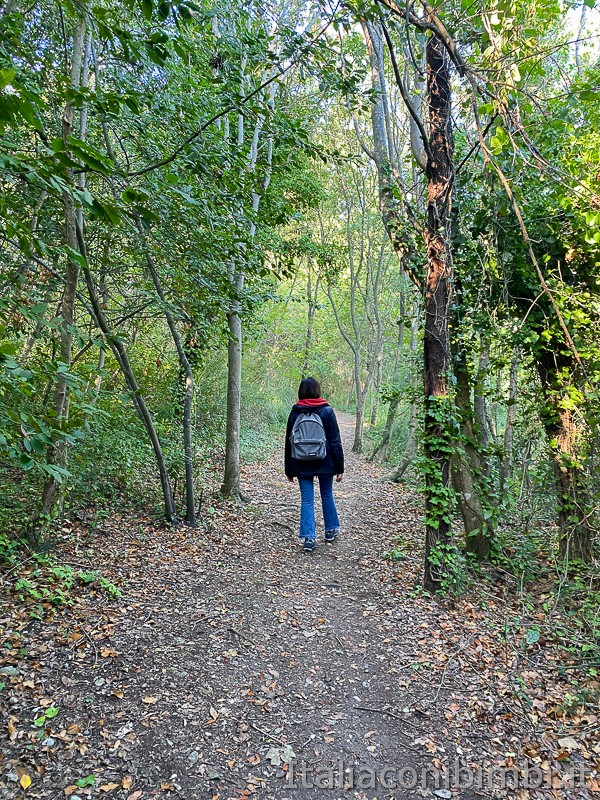 Bosco-del-Cugnolo- passeggiata