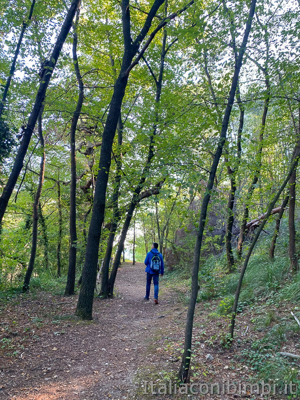 Bosco-del-Cugnolo-sentiero