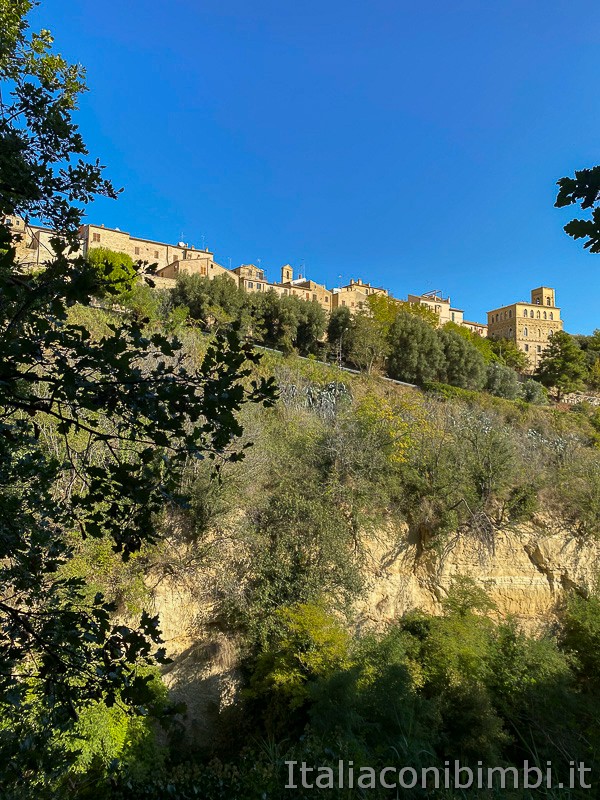 Bosco-del-Cugnolo- vista-su-Torre-di-Palme