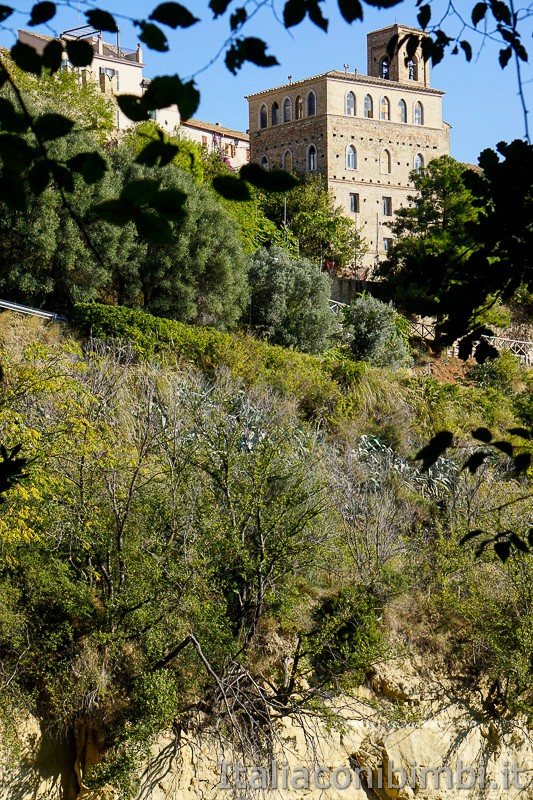 Torre-di-Palme-dal-bosco-del-Cugnolo