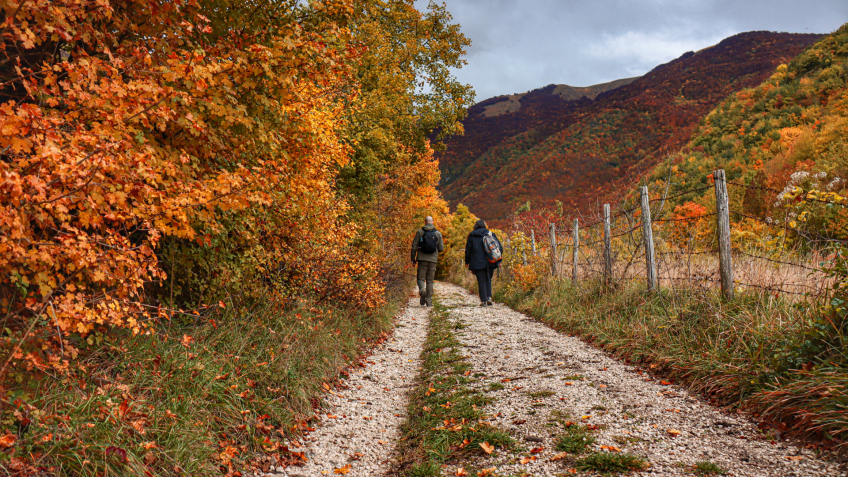 Scopri il tuo viaggio con i miei occhi