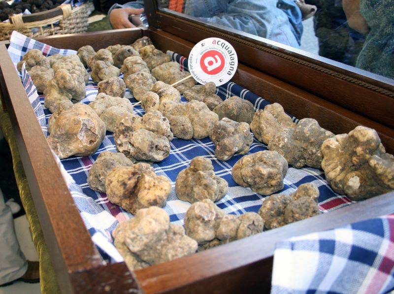 tartufi in vendita ad Acqualagna